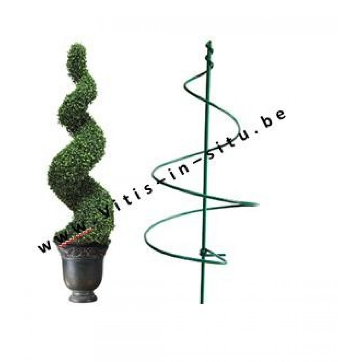 Spiraal voor snoeien van buxus